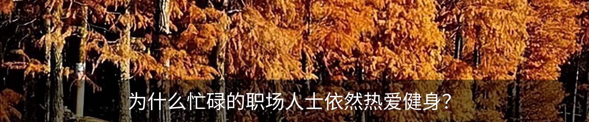 行业资讯