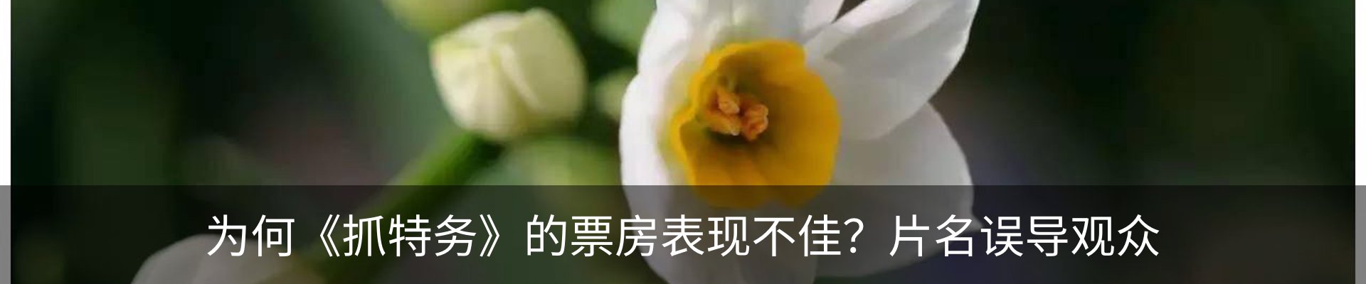 行业资讯