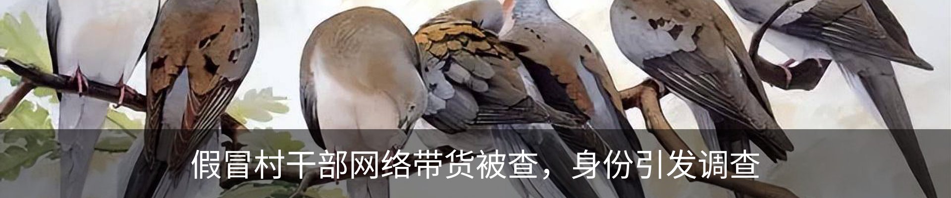 行业资讯