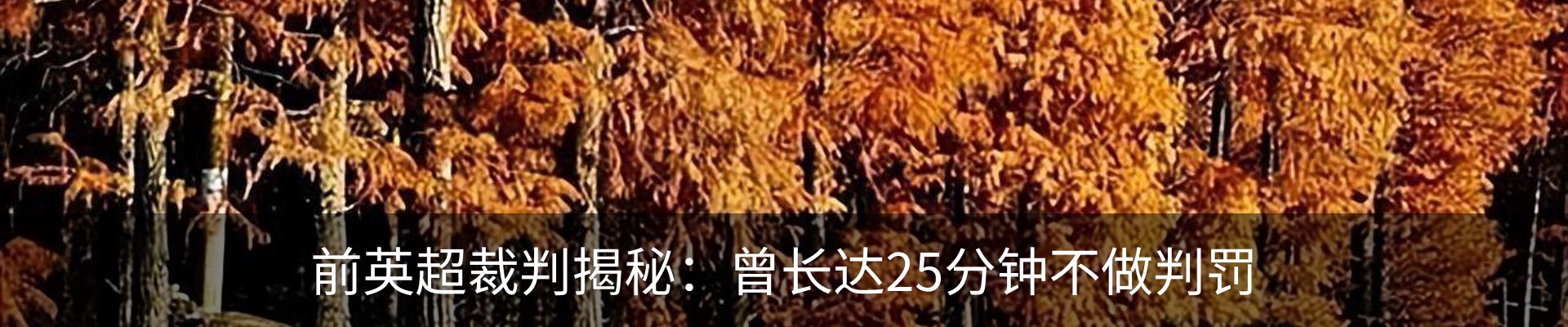 行业资讯