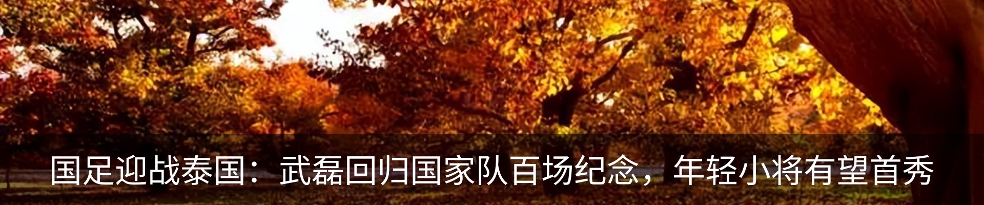 行业资讯
