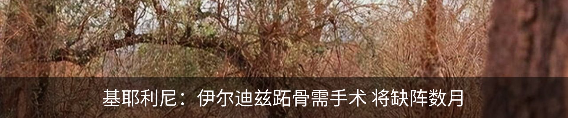 行业资讯