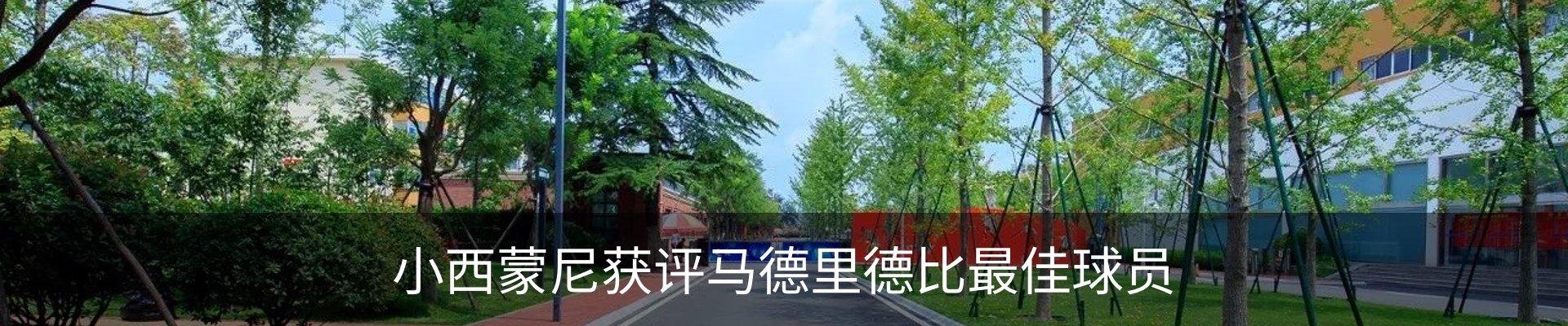 行业资讯