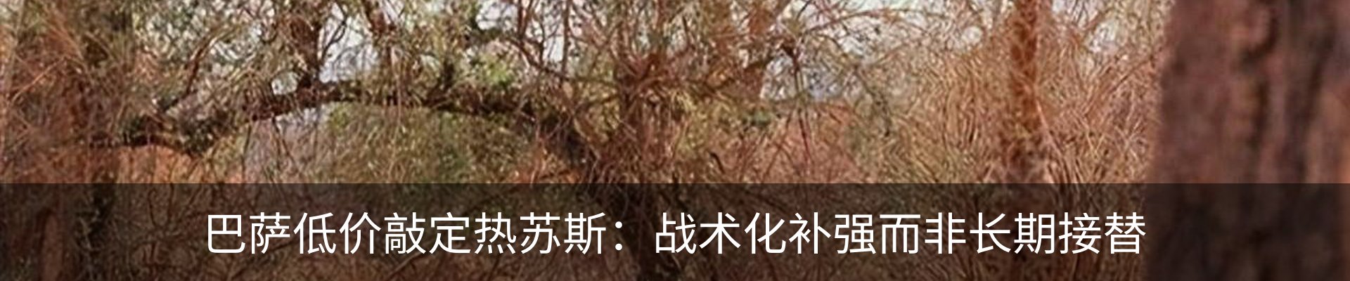 行业资讯