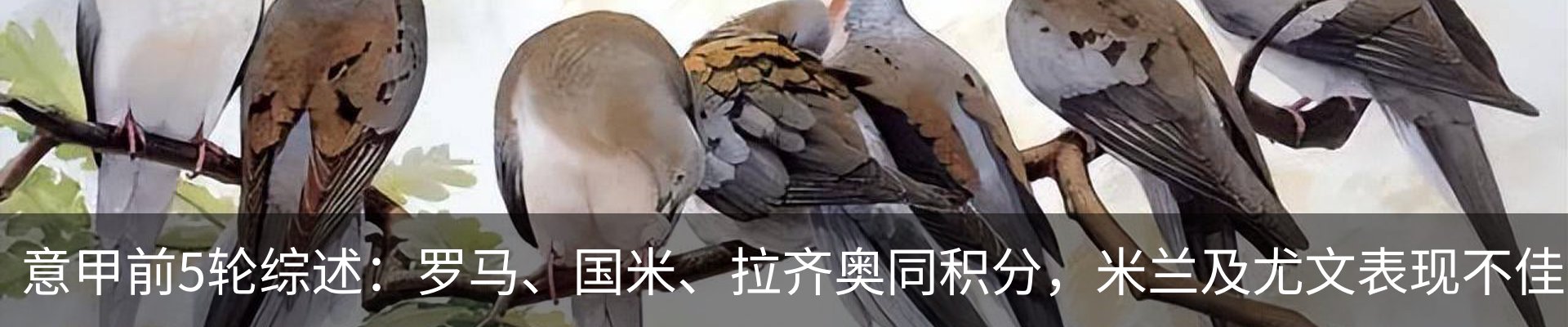 行业资讯