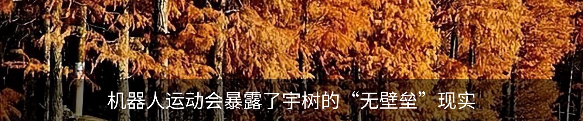 行业资讯