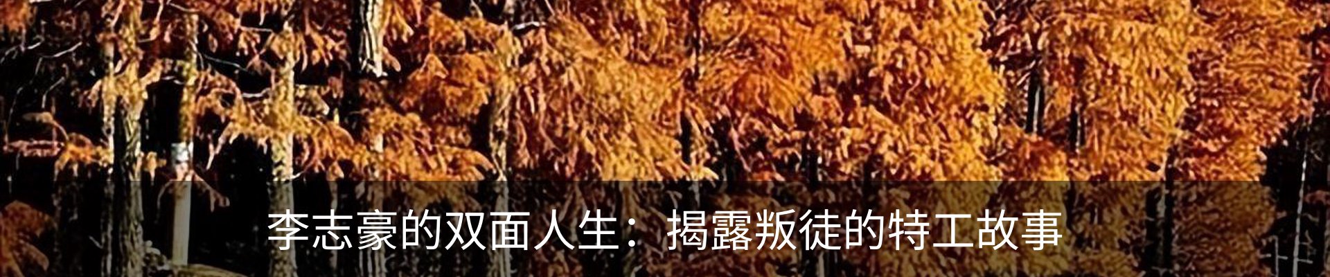 行业资讯