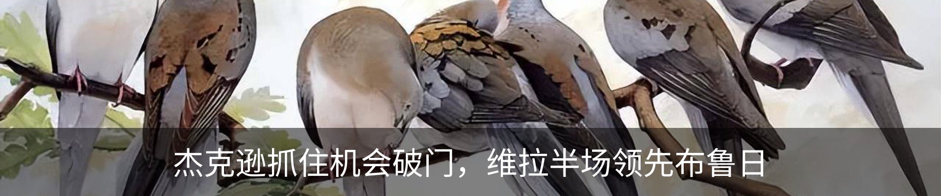 行业资讯