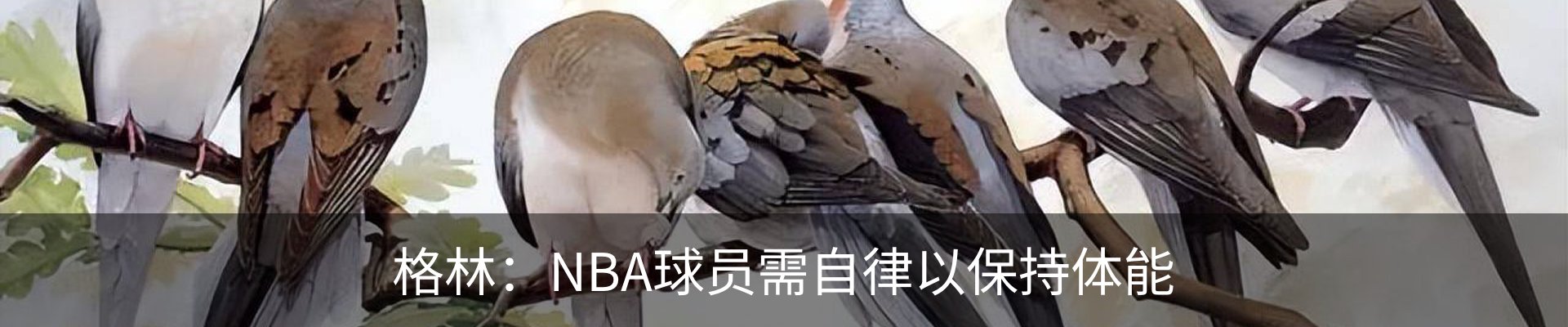 行业资讯