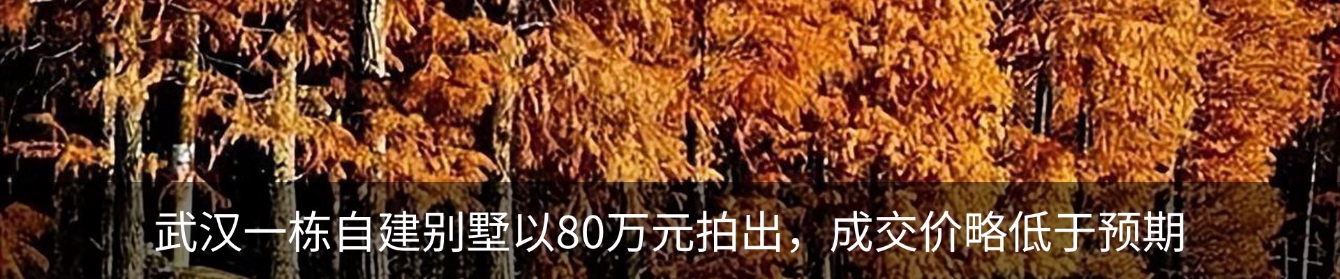 行业资讯