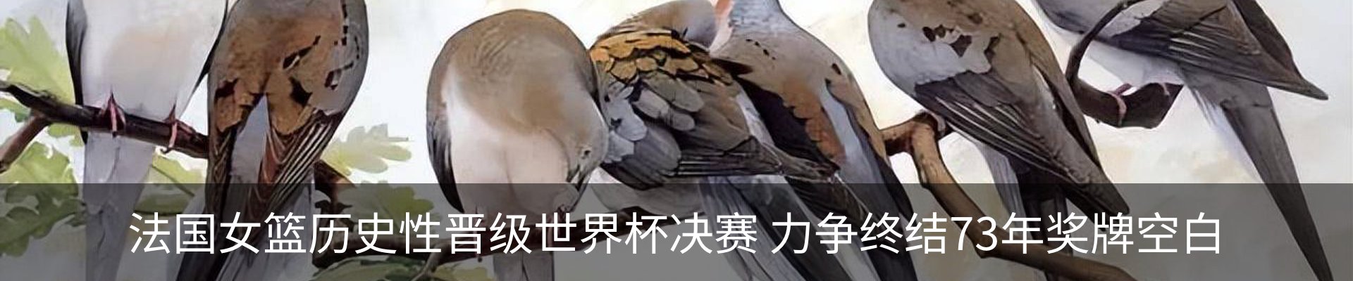 行业资讯