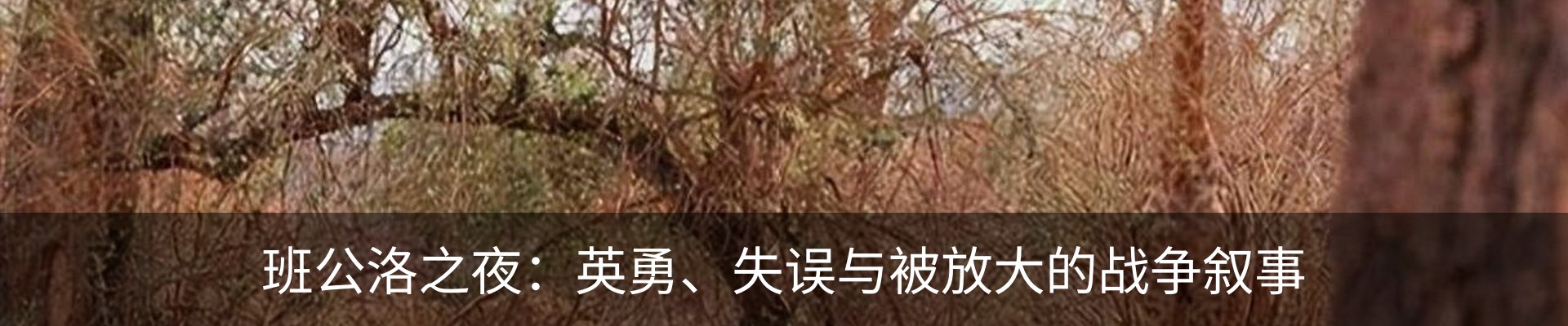 行业资讯