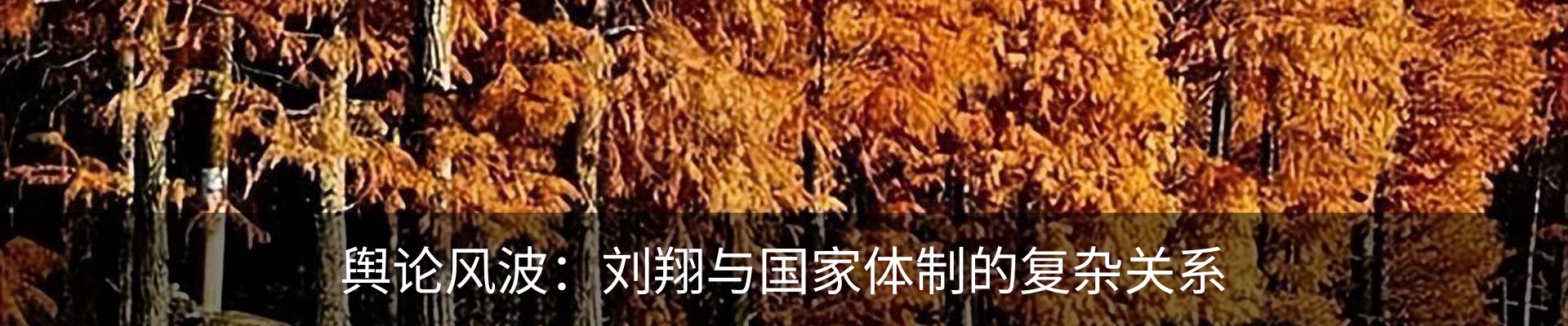 行业资讯