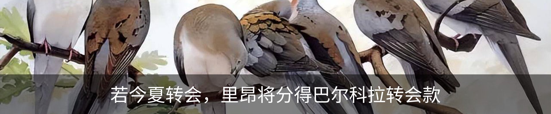 行业资讯