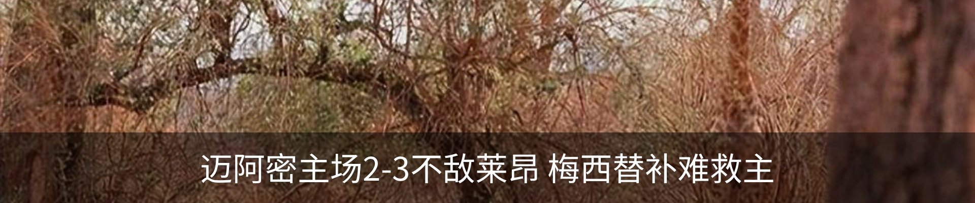 行业资讯