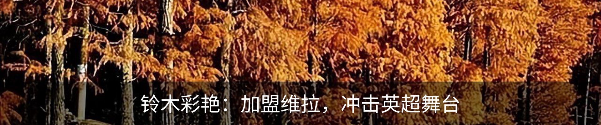 行业资讯