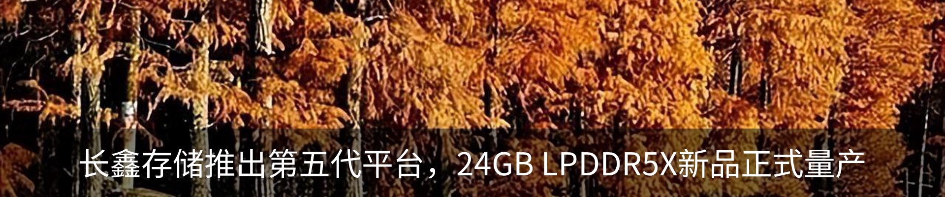 行业资讯