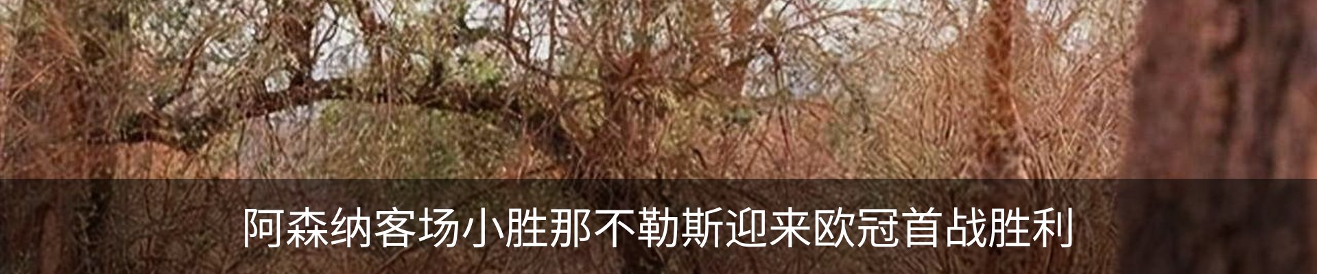 行业资讯