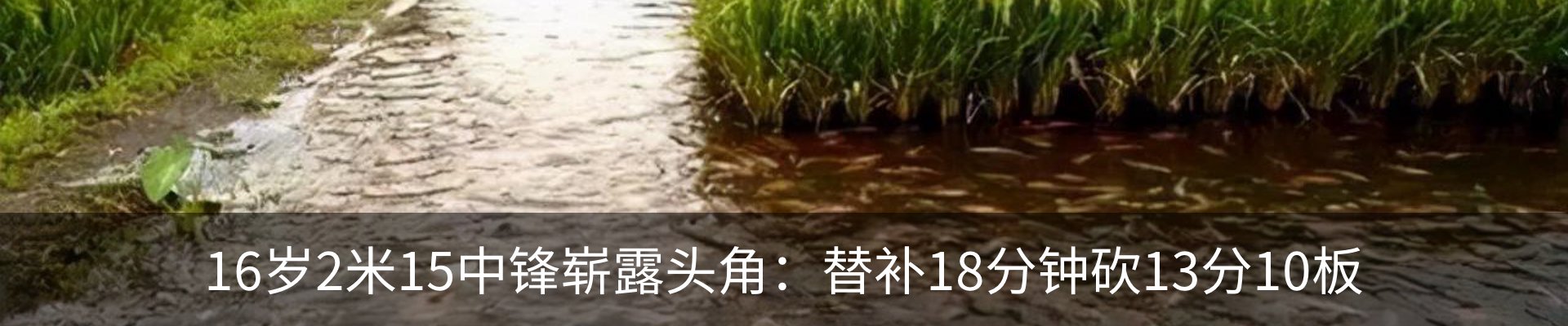 行业资讯