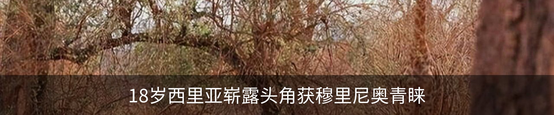 行业资讯