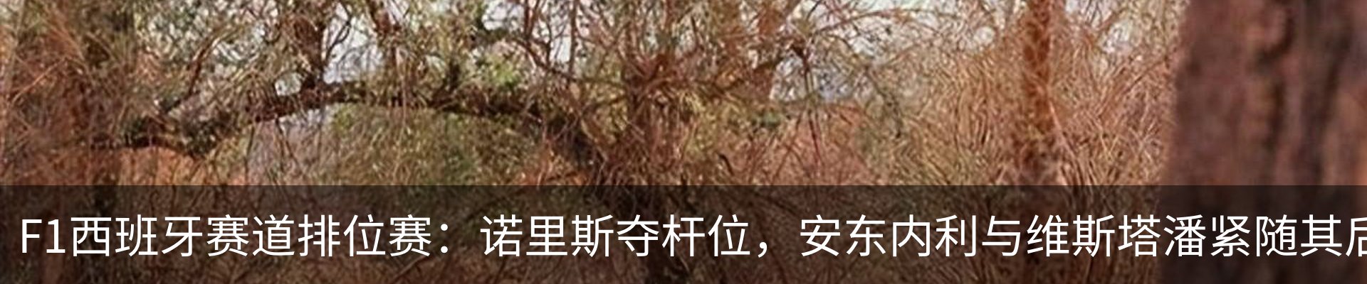行业资讯
