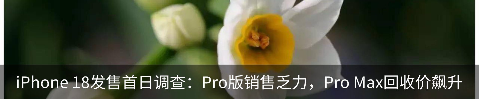 行业资讯